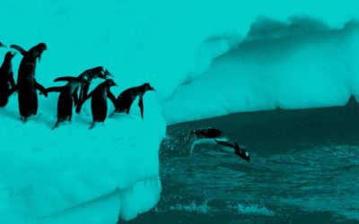 Unlock your potential – Potenziale entwickeln und Stärken stärken